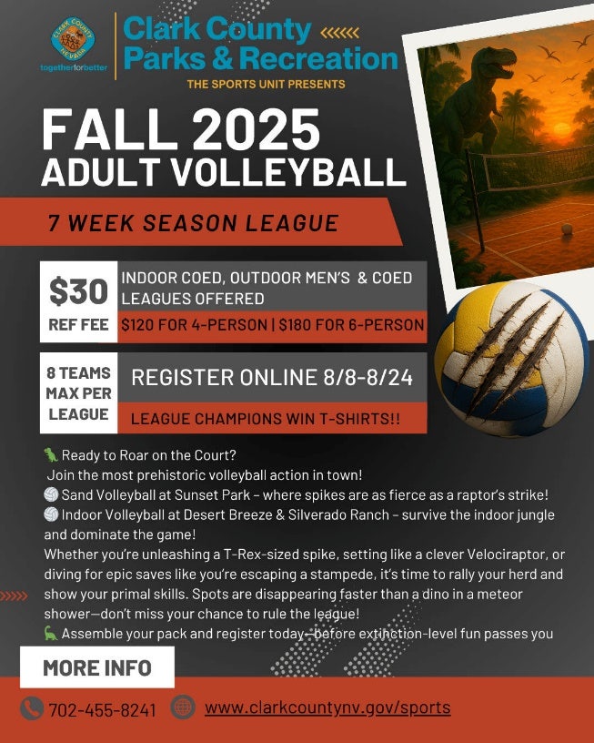 Clark County Parks and Recreation Adult Volleyball Information Flyer