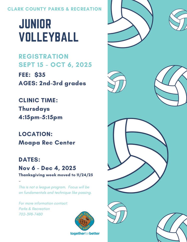 Logandale Junior Volleyball