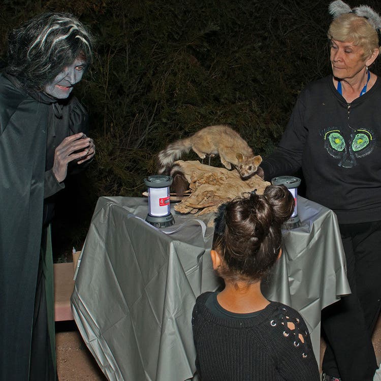 Halloween-themed gathering with animal display
