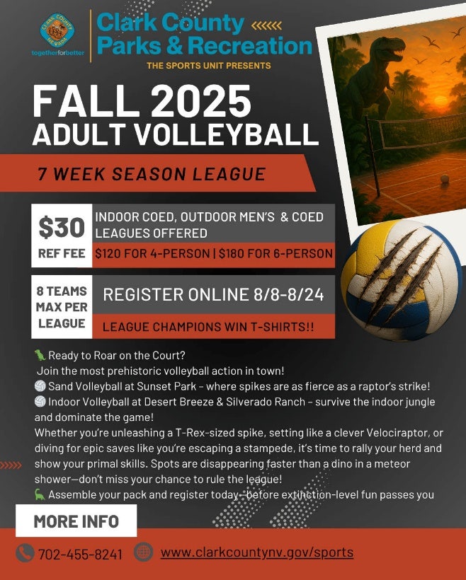 Clark County Parks and Recreation Adult Volleyball Information Flyer