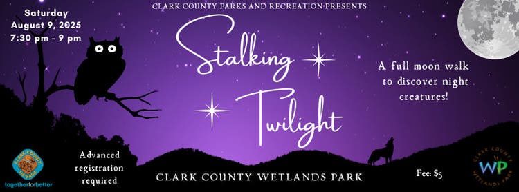 Stalking Twilight FB (Facebook Cover) 851 x 315 px - 1
